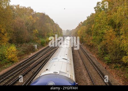 Train sur chemin de fer passant entre les arbres avec des feuilles d'automne en novembre Banque D'Images