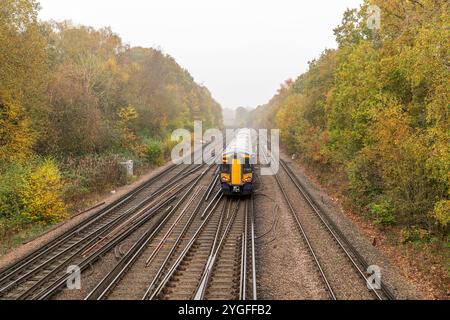 Train sur chemin de fer passant entre les arbres avec des feuilles d'automne en novembre Banque D'Images