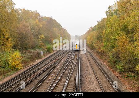 Train sur chemin de fer passant entre les arbres avec des feuilles d'automne en novembre Banque D'Images