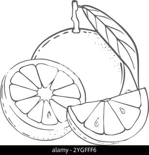 Orange, illustration vectorielle sur fond blanc. Ingrédient pour jus, vin chaud, recettes, charlotte, confiture, conserves, compotes. Récolte dans le jardin. Typographie d'imprimerie, textiles Illustration de Vecteur
