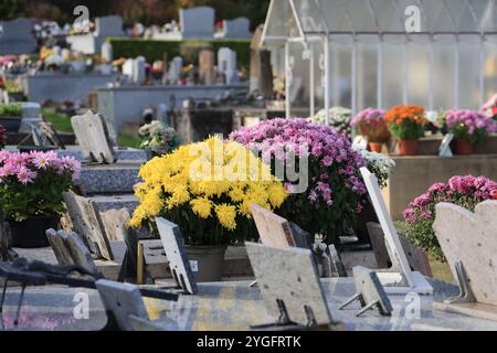 Jour et fête des morts dans un cimetière de campagne. Cimetière, tombeau, voûte, mémoire du défunt, religion catholique, chrysanthèmes. Coffre-fort familial. Nouveau A Banque D'Images