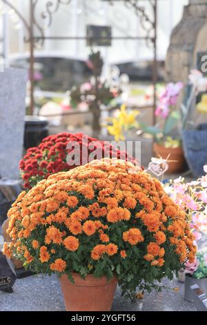 Jour et fête des morts dans un cimetière de campagne. Cimetière, tombeau, voûte, mémoire du défunt, religion catholique, chrysanthèmes. Coffre-fort familial. Nouveau A Banque D'Images