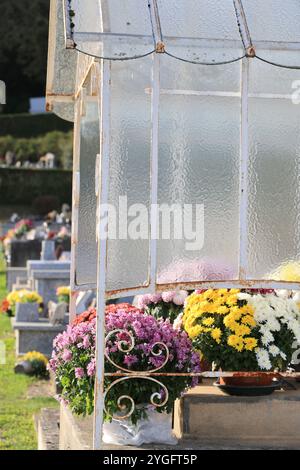 Jour et fête des morts dans un cimetière de campagne. Cimetière, tombeau, voûte, mémoire du défunt, religion catholique, chrysanthèmes. Coffre-fort familial. Nouveau A Banque D'Images