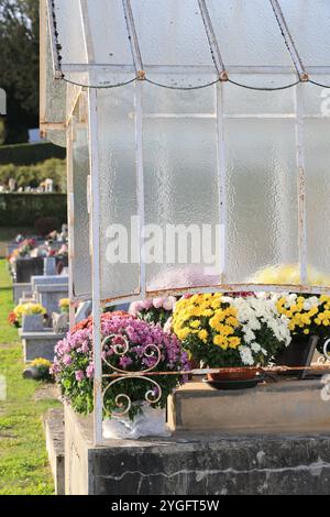 Jour et fête des morts dans un cimetière de campagne. Cimetière, tombeau, voûte, mémoire du défunt, religion catholique, chrysanthèmes. Coffre-fort familial. Nouveau A Banque D'Images