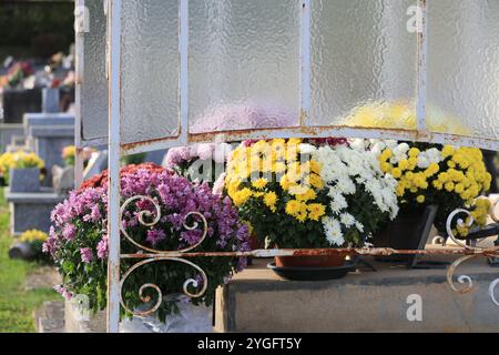 Jour et fête des morts dans un cimetière de campagne. Cimetière, tombeau, voûte, mémoire du défunt, religion catholique, chrysanthèmes. Coffre-fort familial. Nouveau A Banque D'Images