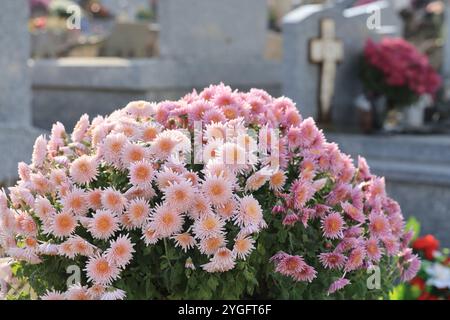 Jour et fête des morts dans un cimetière de campagne. Cimetière, tombeau, voûte, mémoire du défunt, religion catholique, chrysanthèmes. Coffre-fort familial. Nouveau A Banque D'Images