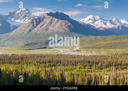 Vue depuis Glenn Highway près du glacier Matanuska, péninsule de Kenai, Alaska, États-Unis Banque D'Images