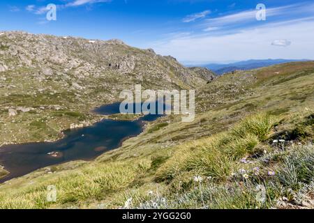 Randonnée le main Range Walk au mont Kosciuszko, qui présente un terrain accidenté et des lacs alpins sereins par une journée ensoleillée, Australie Banque D'Images