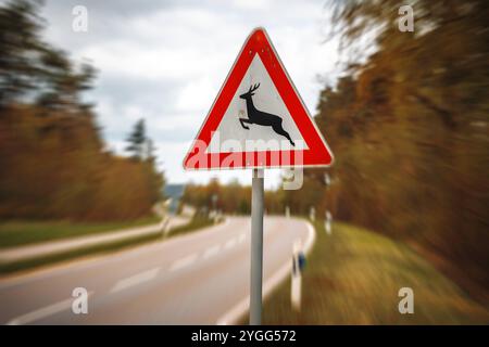 Bavière, Allemagne - 7 novembre 2024 : ATTENTION AUX cerfs sautant à gauche sur un panneau sur une route avec des arbres près de la forêt. Image symbolique pour le gibier et le cerf qui pourrait traverser une route et avertir du danger au crépuscule. PHOTOMONTAGE *** ACHTUNG Wildwechsel, Reh springt nach links auf einem Schild an einer Straße mit Bäumen am Wald. Symbolbild für Wild und Rehe, die über eine Straße laufen könnten und vor Gefahr warnen in der Dämmerung. FOTOMONTAGE Banque D'Images