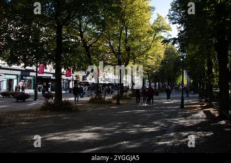 Soleil matinal d'automne le long de Karl Johnas Gate dans le centre d'Oslo, Norvège, Banque D'Images