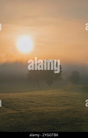 Paysage brumeux onirique au lever du soleil sur une prairie d'automne dans le Allgäu. Avec les silhouettes de grands arbres à feuilles caduques au premier plan et un conifero Banque D'Images