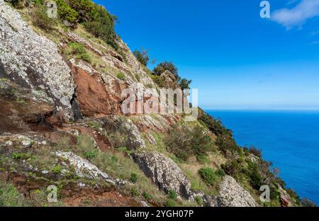 Porto da Cruz, paysage côtier sur le sentier de randonnée Vereda do Larano Banque D'Images