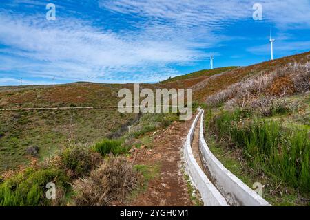 Ponta do sol, randonnée le long de la Levada do Paul. Éoliennes sur le Paul da Serra. Banque D'Images