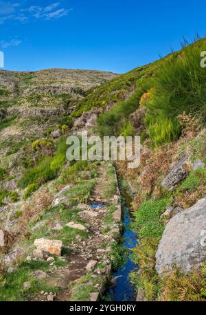Ponta do sol, randonnée le long de la Levada do Paul Banque D'Images
