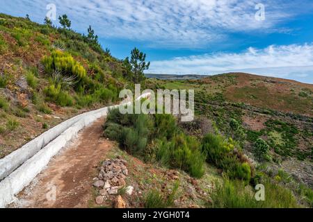 Ponta do sol, randonnée le long de la Levada do Paul Banque D'Images