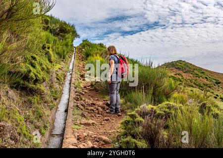 Ponta do sol, randonnée le long de la Levada do Paul Banque D'Images