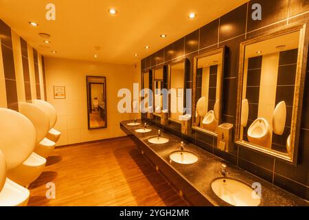 Angleterre, Kent, Whitstable, The Peter Cushing Wetherspoon Pub, toilettes pour hommes Banque D'Images