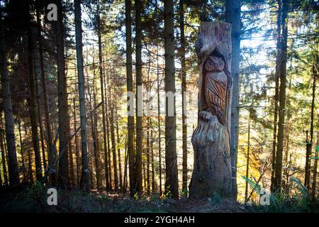 Sculpture en bois sculpté hibou à Bosco Animato (Forêt animée) à Oasi Zegna, une zone de montagne boisée dans le Piémont, au nord de l'Italie. Banque D'Images