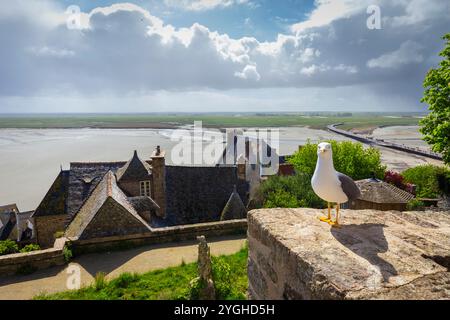 Vue sur la partie intérieure de la cité médiévale du Mont Saint Michel. Normandie, Manche, Avranches, Pontorson, France, Europe occidentale. Banque D'Images