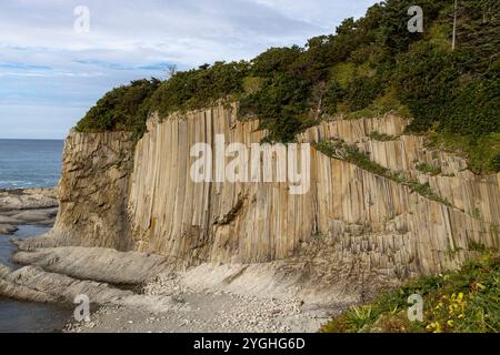 Rochers de Stolbchaty. paysage avec des roches de laves basaltiques colonnaires formant un motif géométrique naturel. cap géographique sur la rive est de Kunashir Isl Banque D'Images