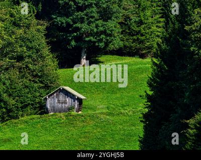 Fin de l'été près de Wamberg (Garmisch-Partenkirchen) Banque D'Images