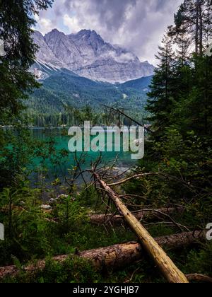 À droite du sentier de randonnée autour de l'Eibsee au Drachensee Banque D'Images