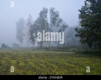Aube d'automne dans la vallée de Schmuttertal près de Margertshausen dans le parc naturel des forêts occidentales d'Augsbourg Banque D'Images
