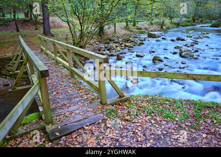 Une vue panoramique sur un pont en bois rustique enjambant la rivière Bayones à Ucieda, situé dans la vallée de Cabuerniga, en Cantabrie. Les feuilles d'automne tombées se couvrent Banque D'Images