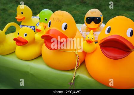 La Great Warrington and Latchford Duck Race Banque D'Images