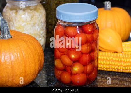 Tomates cerises et chou fermentés dans des bocaux mason sur un comptoir de cuisine entouré de maïs séché et de citrouilles à sucre Banque D'Images