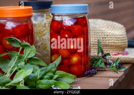 Comptoir en bois de chariot de jardin et bocaux maçon avec tomates cerises en fermentation et chou, entouré de basilic frais et de feuilles de basilic thaï et chapeau de paille Banque D'Images