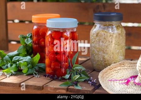 Comptoir en bois de chariot de jardin et bocaux maçon avec tomates cerises en fermentation et chou, entouré de basilic frais et de feuilles de basilic thaï et chapeau de paille Banque D'Images