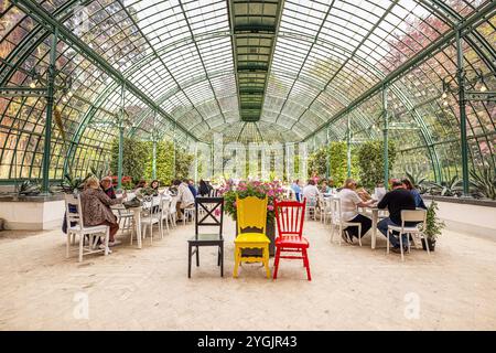 Serres royales Laeken. Bruxelles, région de Bruxelles-capitale, Belgique. Banque D'Images