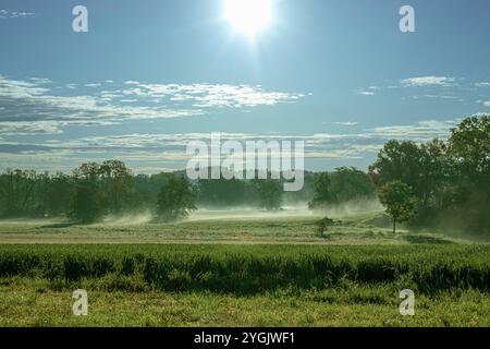 Brouillard de sol après le lever du soleil sur la prairie rosée, Allemagne, Bavière, Erdinger Moos Banque D'Images