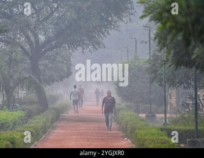 New Delhi, Inde. 07 novembre 2024. NEW DELHI, INDE - 7 NOVEMBRE : marcheurs tôt le matin un matin fumé à Dwarka, le 7 novembre 2024 à New Delhi, Inde. Le Département météorologique indien (IMD) a prévu que Delhi et la RCN sont susceptibles de souffrir de smog et de brouillard peu profond pendant la nuit et le matin au cours des 2-3 prochains jours. (Photo de Vipin Kumar/Hindustan Times/Sipa USA ) crédit : Sipa USA/Alamy Live News Banque D'Images