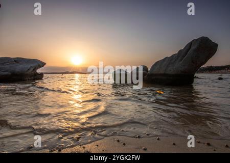 Forêt en Suède avec maisons abandonnées d'une mine. Forêt de bouleaux et de pins au soleil en été. Paysage photographié dans la nature près d'Amal Suède Banque D'Images