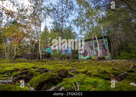 Forêt en Suède avec maisons abandonnées d'une mine. Forêt de bouleaux et de pins au soleil en été. Paysage photographié dans la nature près d'Amal Suède Banque D'Images