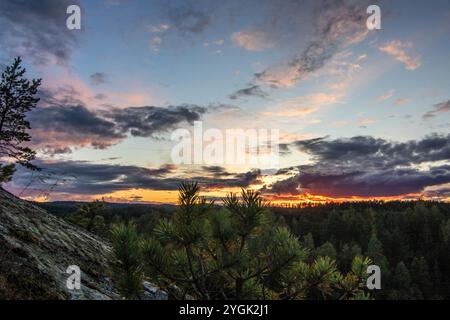 Paysage photographié dans une forêt de pins. Vue d'un rocher sur les arbres. Coucher de soleil romantique à l'horizon dans la soirée à Amal, Suède Banque D'Images