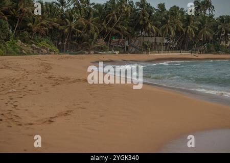 Magnifique paysage tropical photographié sur une île. Les bâtiments nichés dans la nature, se fondent dans une image globale de verdure luxuriante. Paysage d'un esprit de jungle Banque D'Images