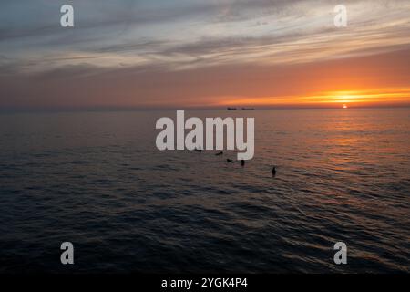 Océan calme au coucher du soleil avec un petit groupe de surfeurs assis sur des planches de surf, attendant paisiblement la vague parfaite. Scène relaxante et tranquille capturant des moments sereins dans la nature Banque D'Images