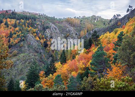 Beau paysage de la zone de Pit of Hell à Serra da Estrela au Portugal avec des arbres aux couleurs d'automne. Banque D'Images