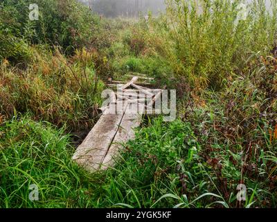 Aube d'automne dans la vallée de Schmuttertal près de Margertshausen dans le parc naturel des forêts occidentales d'Augsbourg Banque D'Images
