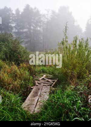 Aube d'automne dans la vallée de Schmuttertal près de Margertshausen dans le parc naturel des forêts occidentales d'Augsbourg Banque D'Images