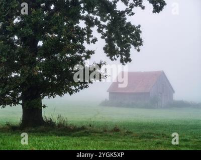 Aube d'automne dans la vallée de Schmuttertal près de Margertshausen dans le parc naturel des forêts occidentales d'Augsbourg Banque D'Images