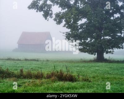 Aube d'automne dans la vallée de Schmuttertal près de Margertshausen dans le parc naturel des forêts occidentales d'Augsbourg Banque D'Images