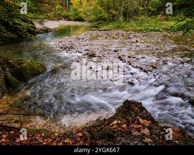 Ambiance automnale dans l'Ostertaltobel dans la vallée de Gunzesried, parc naturel de Nagelfluhkette, Allgäu Banque D'Images