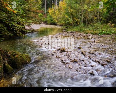 Ambiance automnale dans l'Ostertaltobel dans la vallée de Gunzesried, parc naturel de Nagelfluhkette, Allgäu Banque D'Images