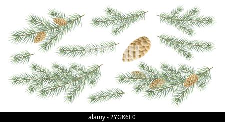 Branches de sapin de Noël avec ensemble d'illustration aquarelle conique. Branches d'épinette verte dessinées à la main avec des aiguilles. Ensemble d'éléments isolés pour Happy N. Banque D'Images