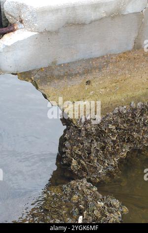 Fermez le trou dans le coin supérieur gauche d'une digue. Eau brillante avec des bernacles sombres sur les côtés. Dessus blanc avec milieu marron et fond foncé. Multiple Banque D'Images