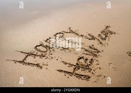 Un message de bonne année magnifiquement écrit dans le sable doux sur la plage sereine Banque D'Images